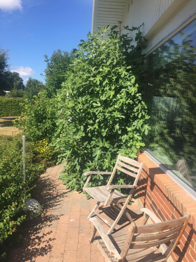 Vaerelse Med Udsigt Over Limfjorden - Rolige Omgivelser Og Adgang Til Flot Have Nykobing Mors Buitenkant foto